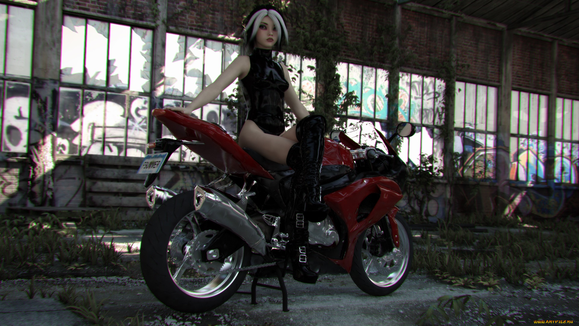 3 , -,  , people- car ,  moto, , , , 